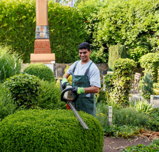 Landscaping Services in Orangevale